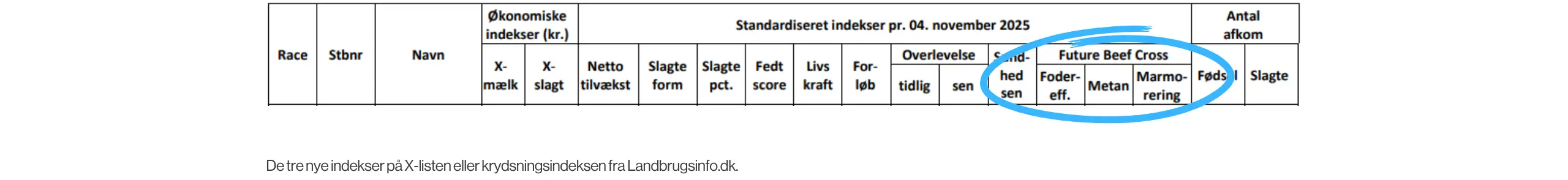 X Indeks Liste