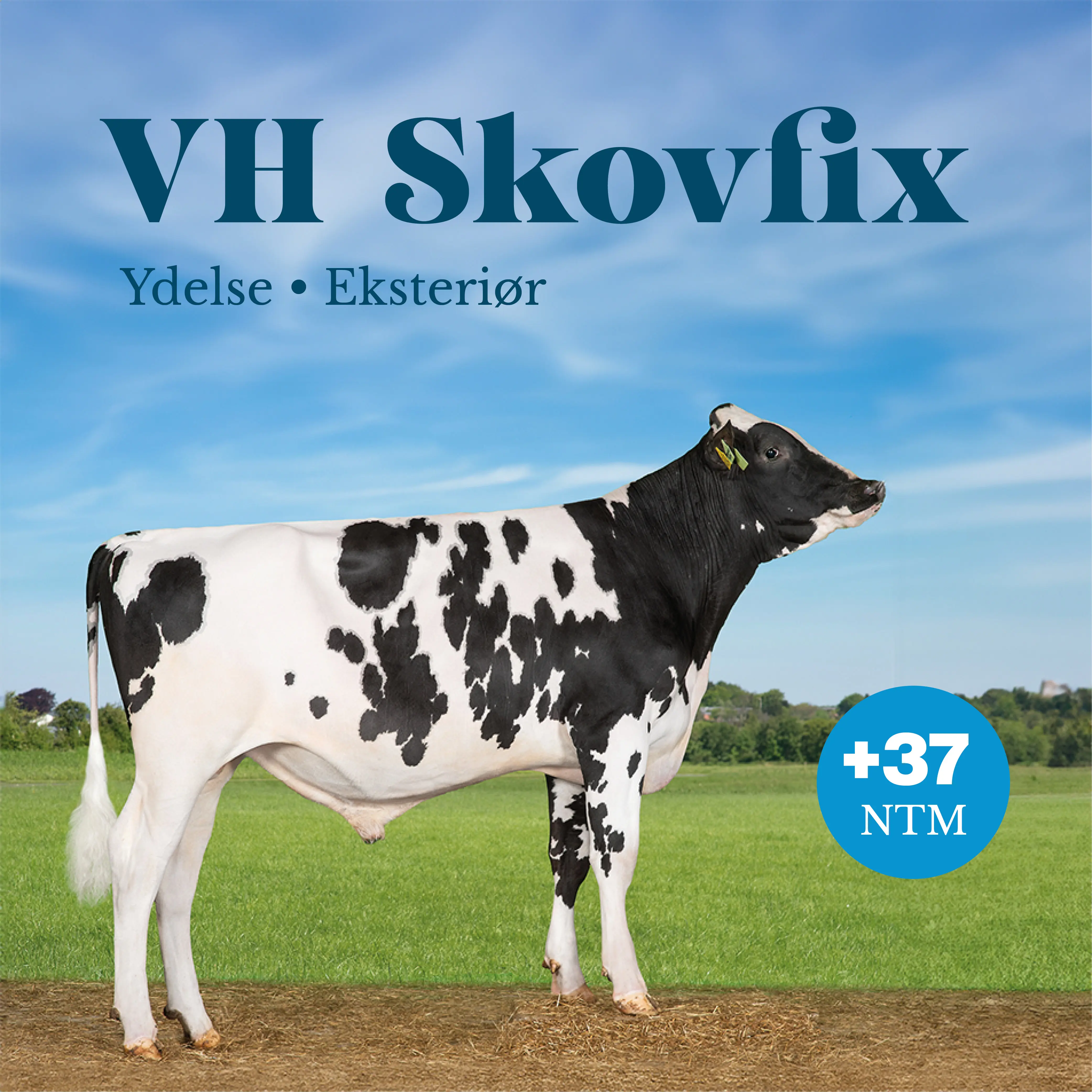 VH Skovfix