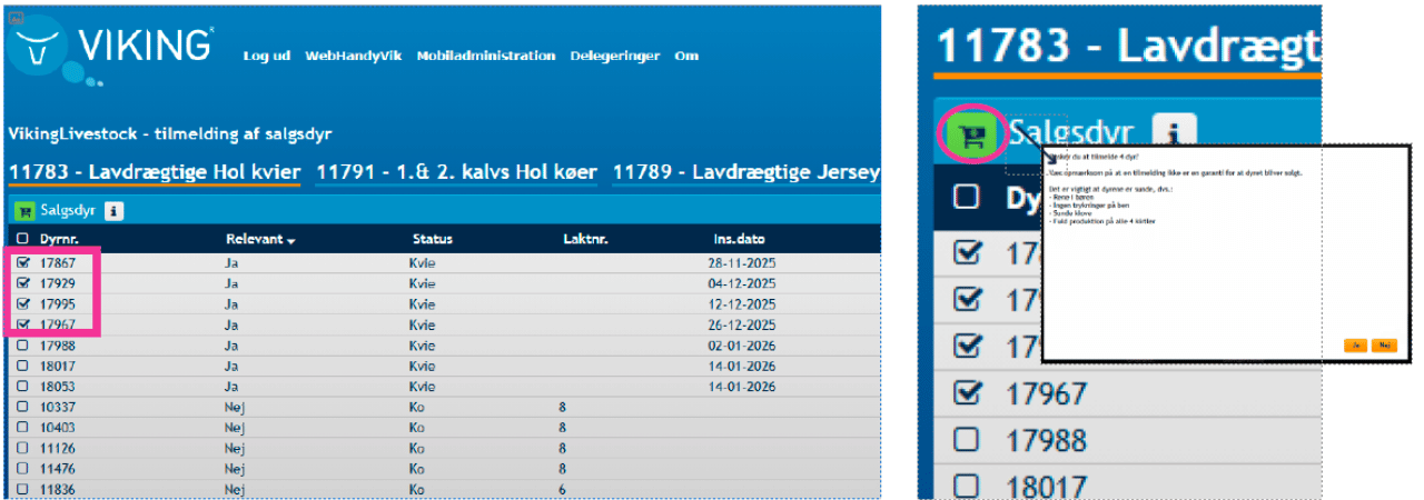 Ikke Relevant, 7
