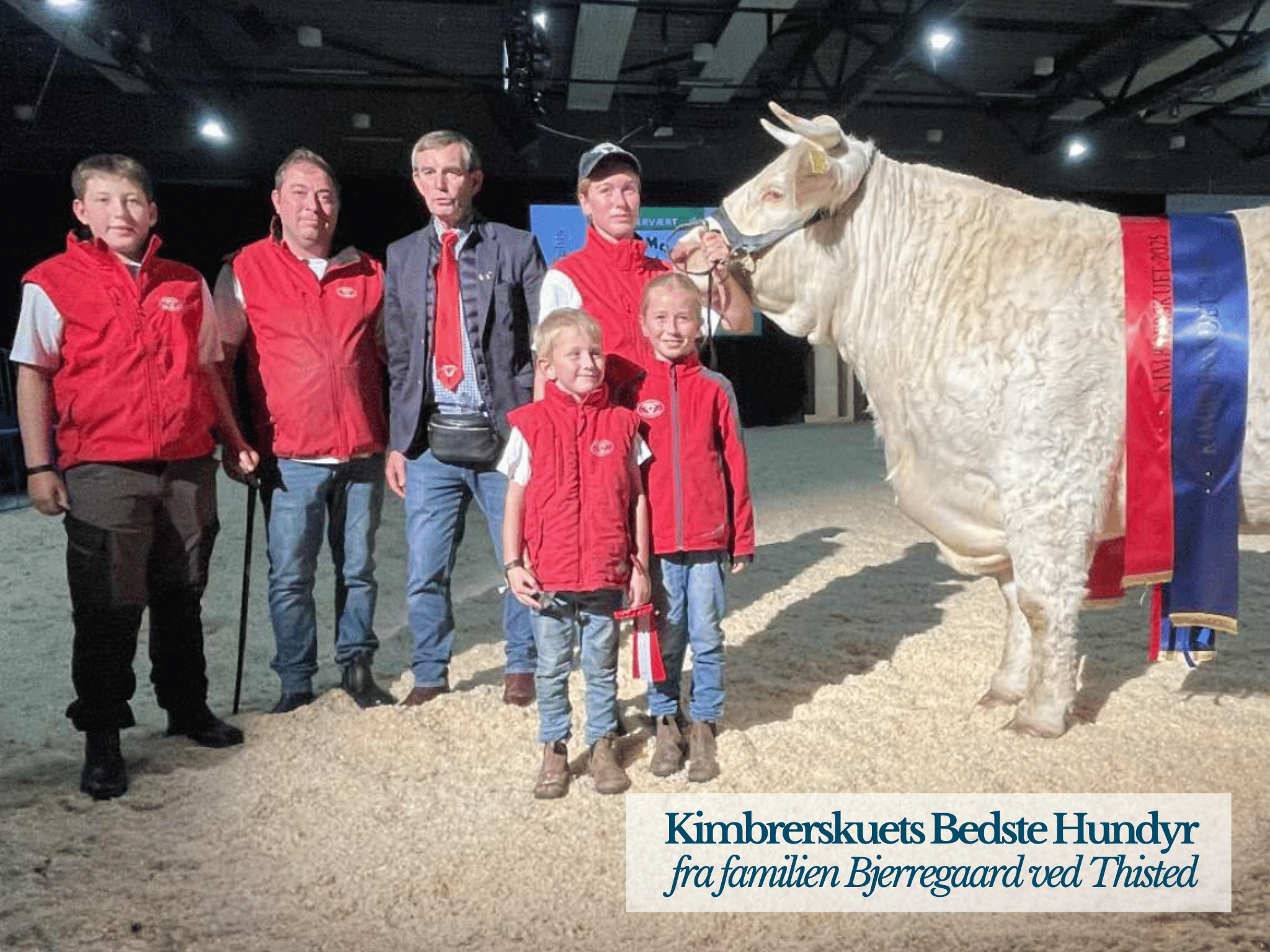 Kimbrerskuets Bedste Handyr