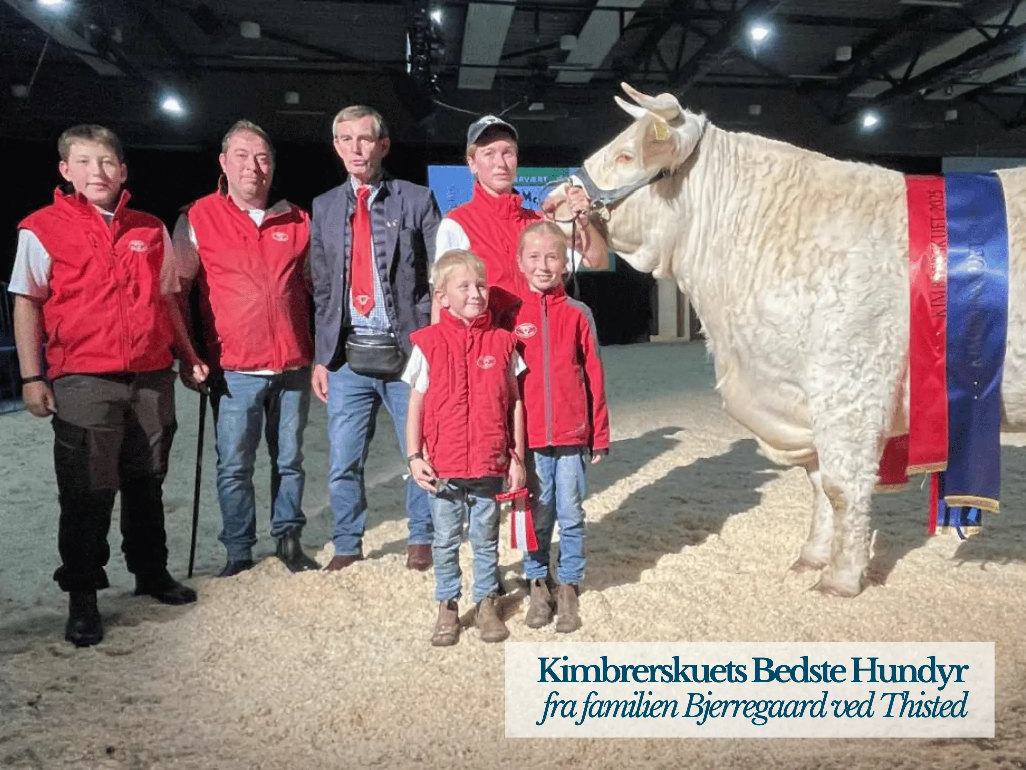 Kimbrerskuets Bedste Handyr