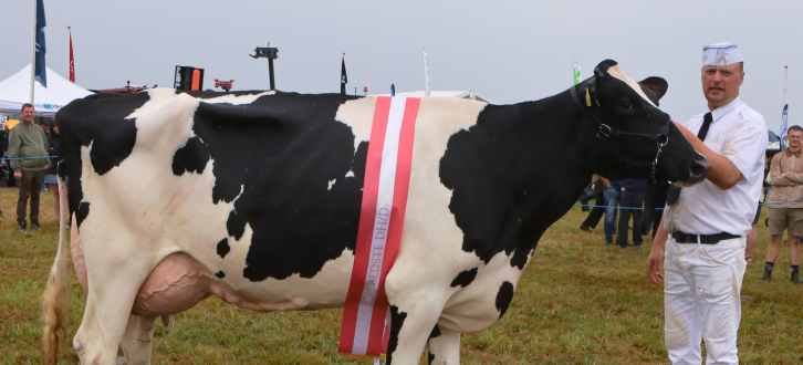 Superko Holstein Blev En VH Newstar Datter Fra IS Midtgård Holstein Ved Ribe Dyrskue 2026