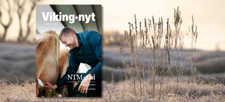 Forsiden Af Vikingnyt November På Naturbaggrund (2)