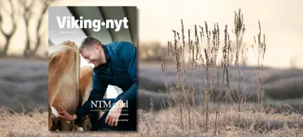 Forsiden Af Vikingnyt November På Naturbaggrund (2)