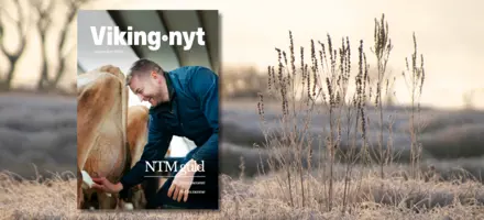 Forsiden Af Vikingnyt November På Naturbaggrund (2)