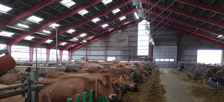 20171129 105638 Forside