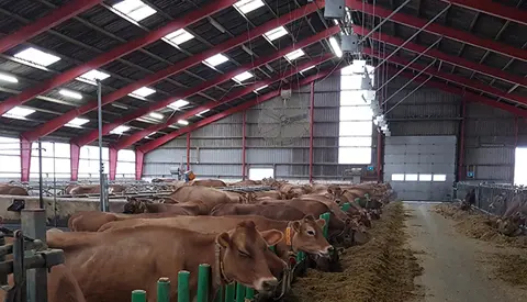 20171129 105638 Forside