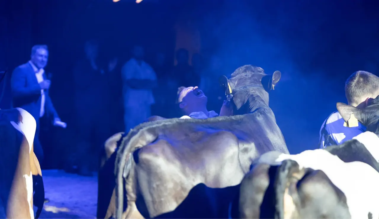 Vinderbillede Af Miss Agronord 2025, VH Belland, Og Marcus Warming