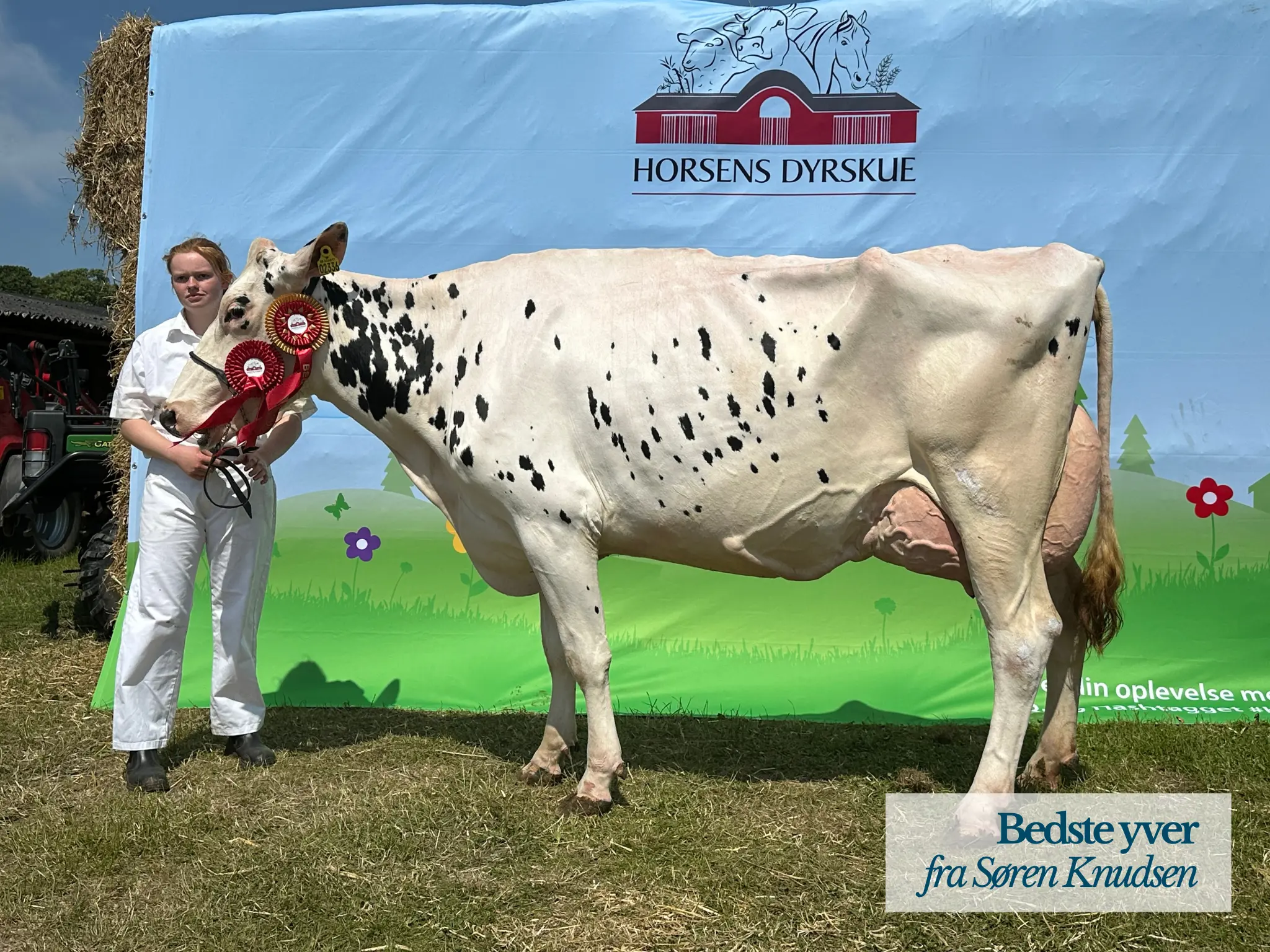 Bedste Yver, Søren Knudsen