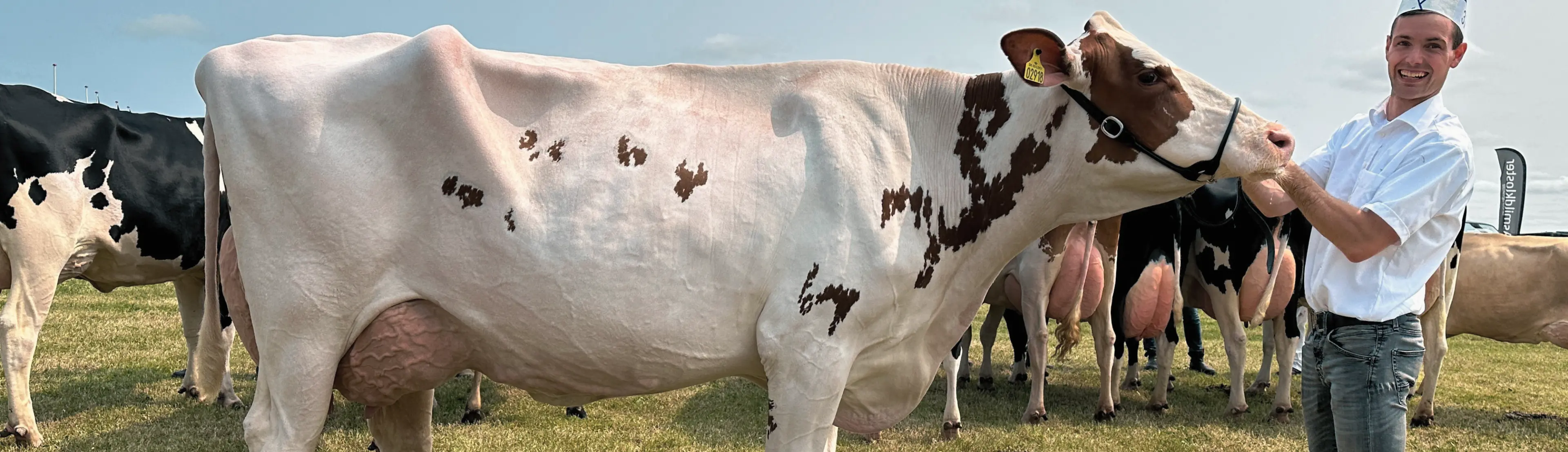 Lemvig Marked Og Dyrskue 2025