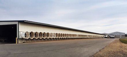 Store Ventilatorertrækker Luft Til Staldsystemet