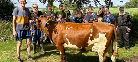 Design Uden Navn (5) (1)