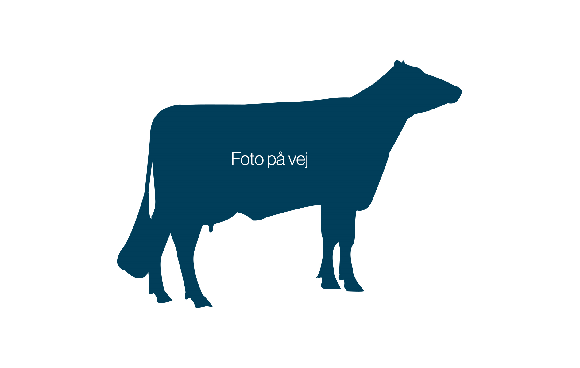 Vad kan vi hjälpa dig med? 