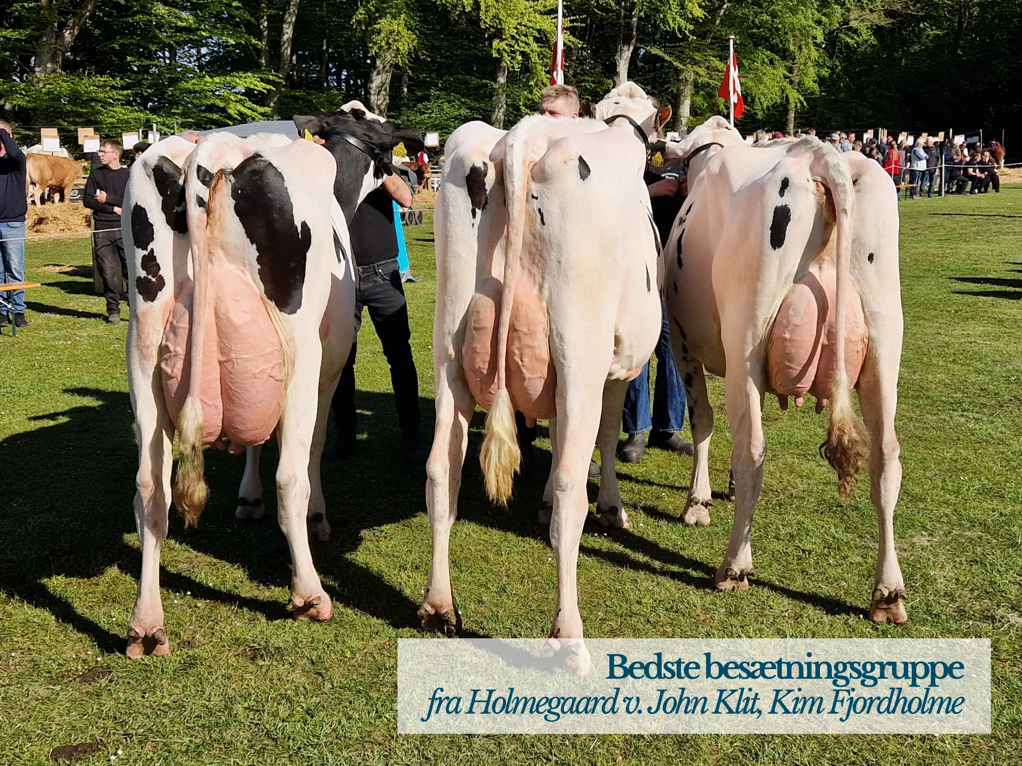 Bedste Besætningsgruppe Fjerritslev Dyrskue 2026