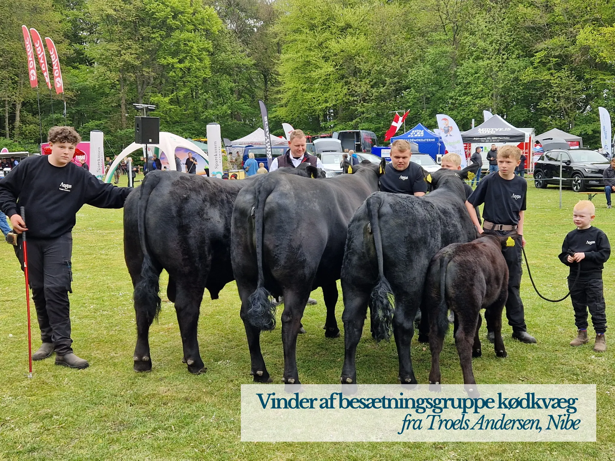 Vinder Af Besætningsgruppe Kødkvæg