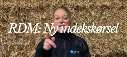 Februar måneds avlsværdital for RDM byder på mange stærke tyre