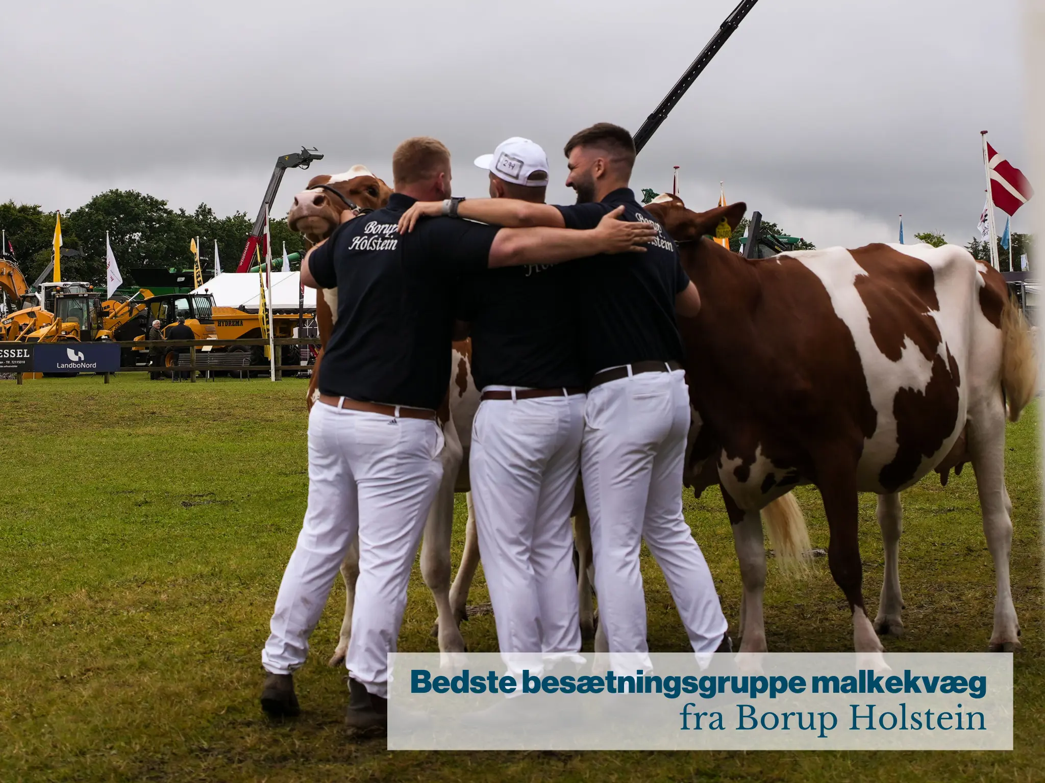 Stemningsbillede Bedste Besætningsgruppe Malkekvæg