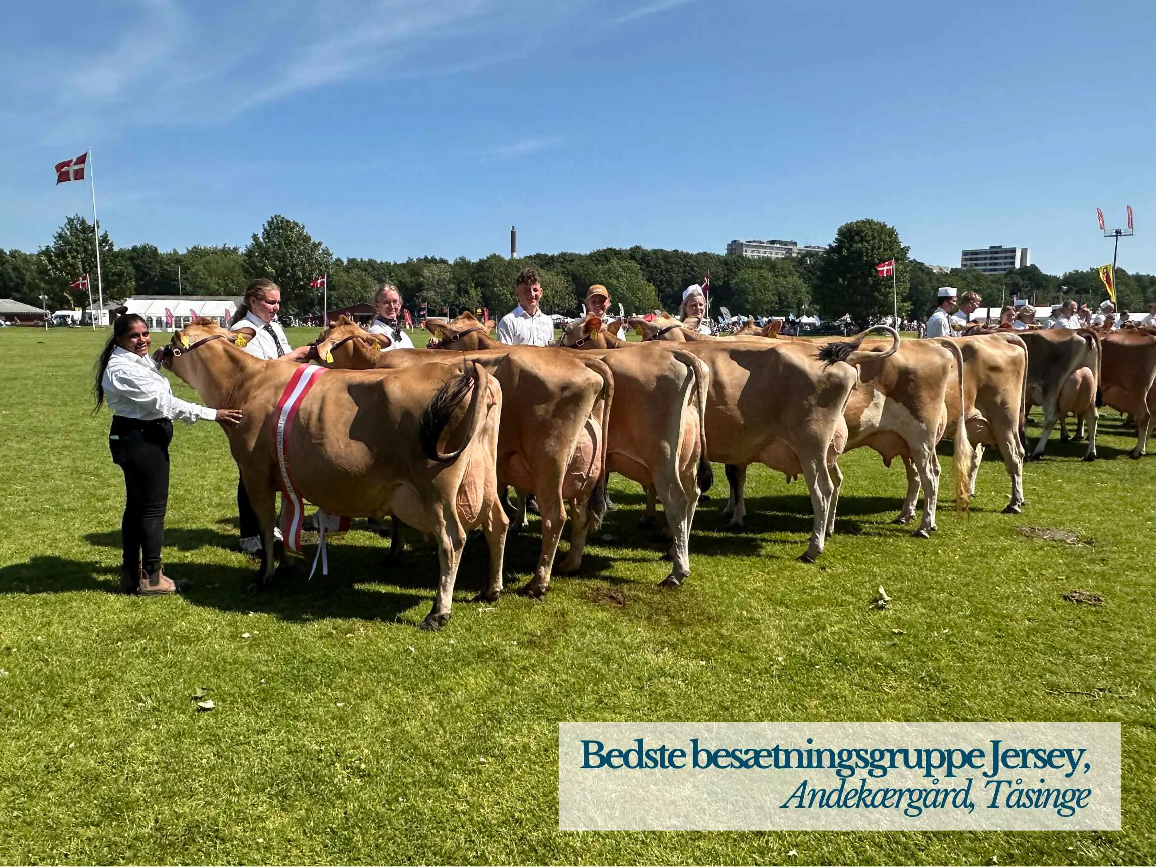 Bedste Besætningsgruppe Jersey, Andekærgård, Tåsinge