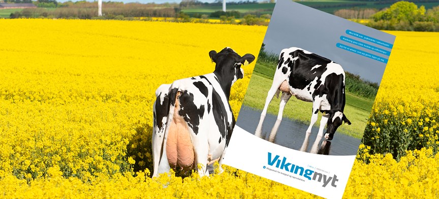 Vikingnyt Februar 2020