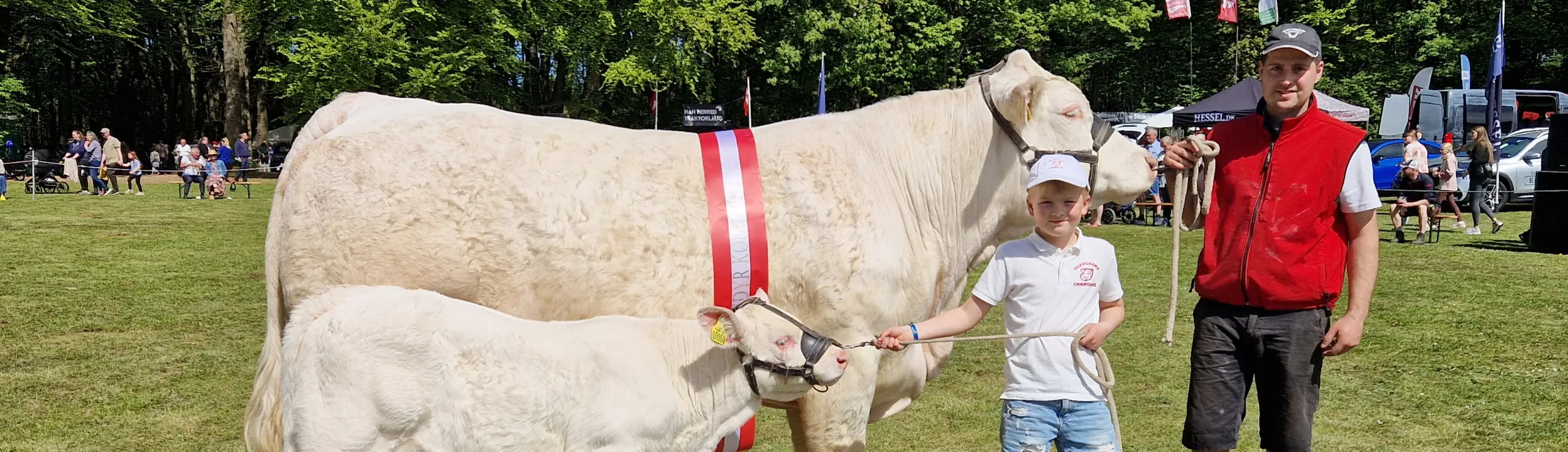 Fjerritslev Dyrskue 2026 Bedste Hundyr