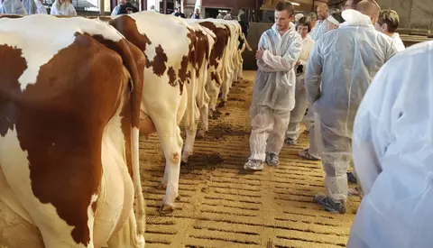 Copy Of Billede Til Reference (1)