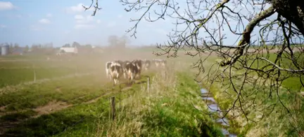 Design Uden Navn(7)