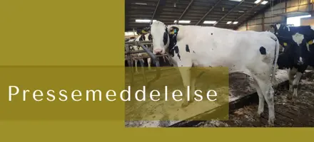 ARTICLE ENTRY TYR (1) (2)