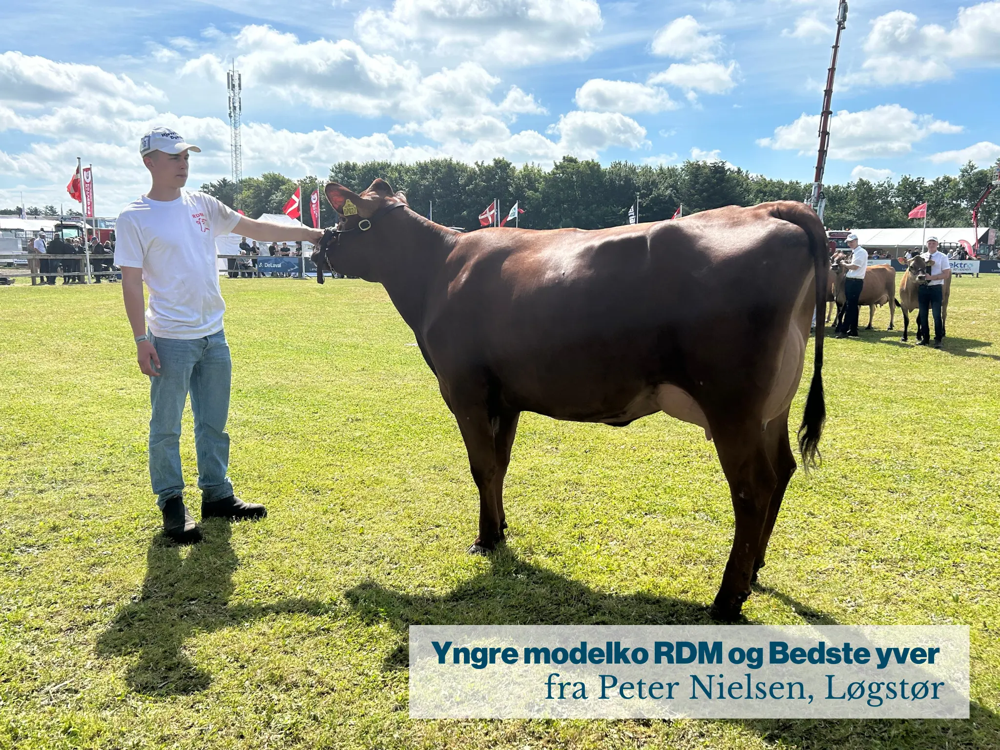 Yngre Modelko Rdm Og Bedste Yver