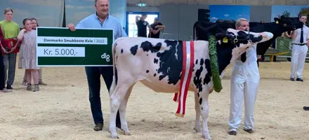 Untitled Design (45)