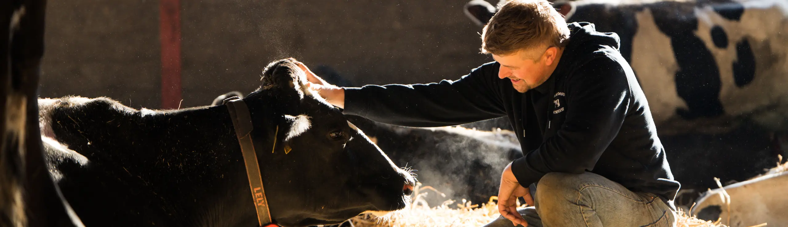 Nye Avlsværdital For Temperament Lang