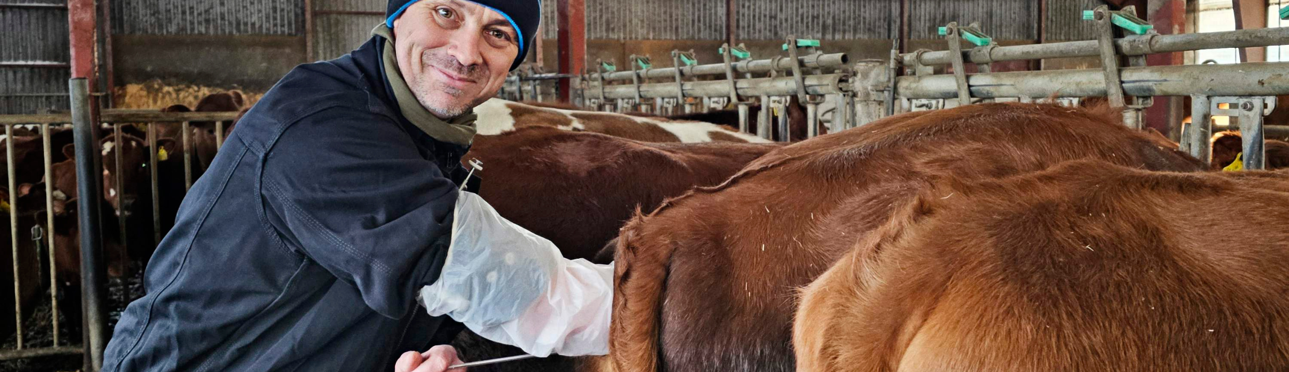 Inseminør Rafal På Job