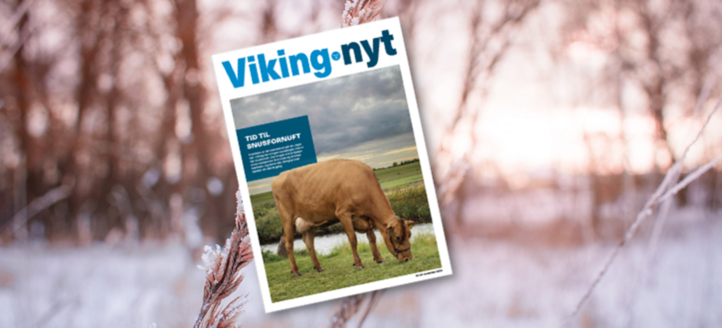 Vikingnyt November 2021