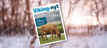 Vikingnyt November 2021