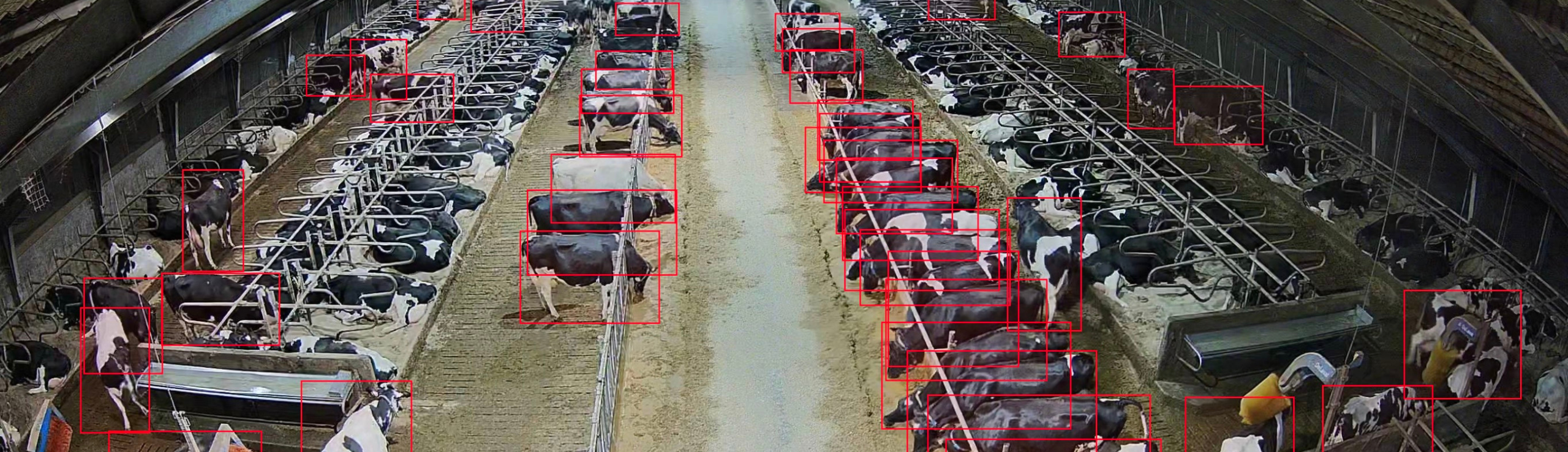 Banner Køernes Liggetid