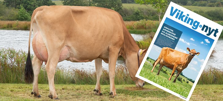 Vikingnyt August 2020