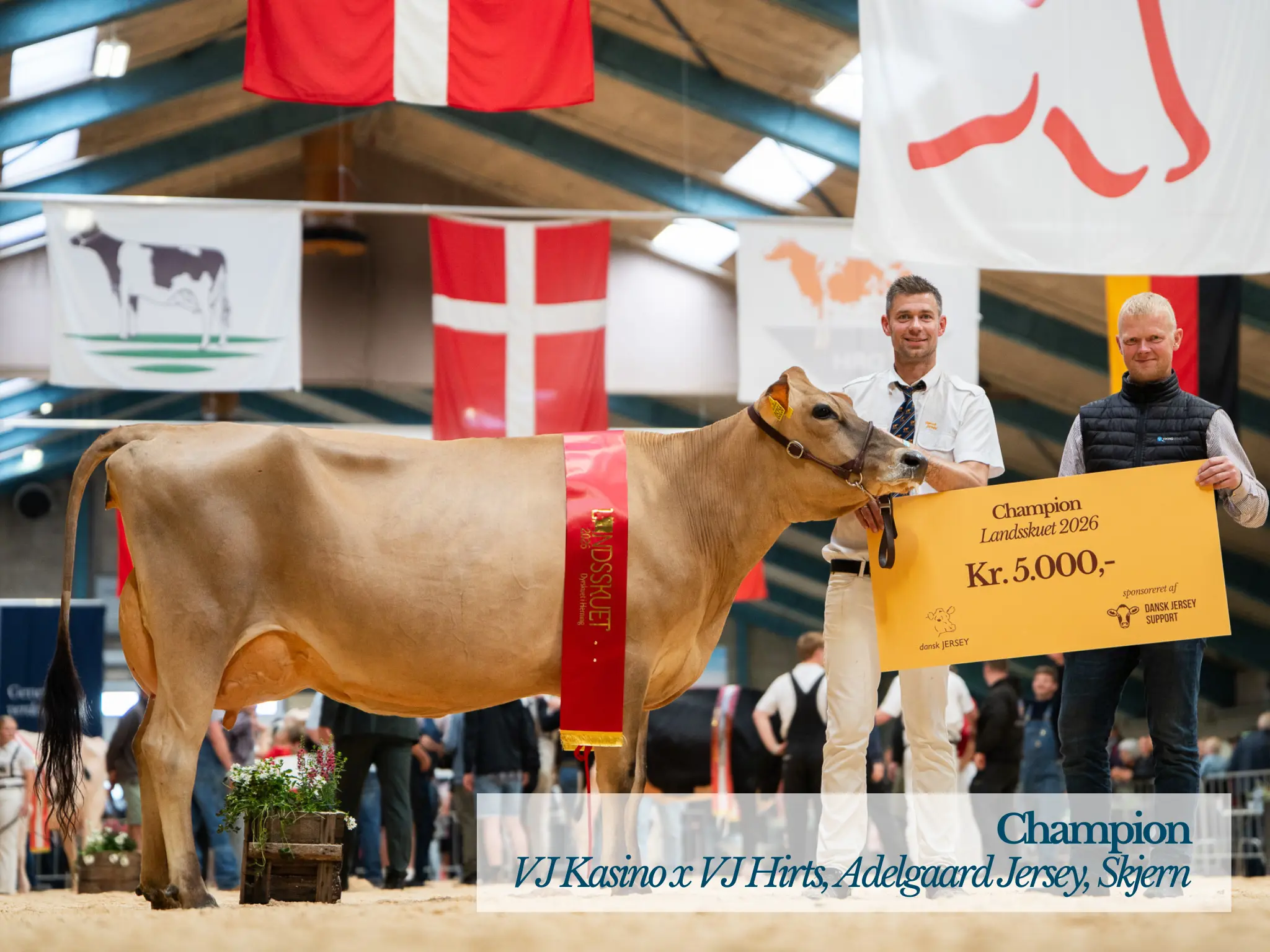 Landsskuet Torsdag JER Champion