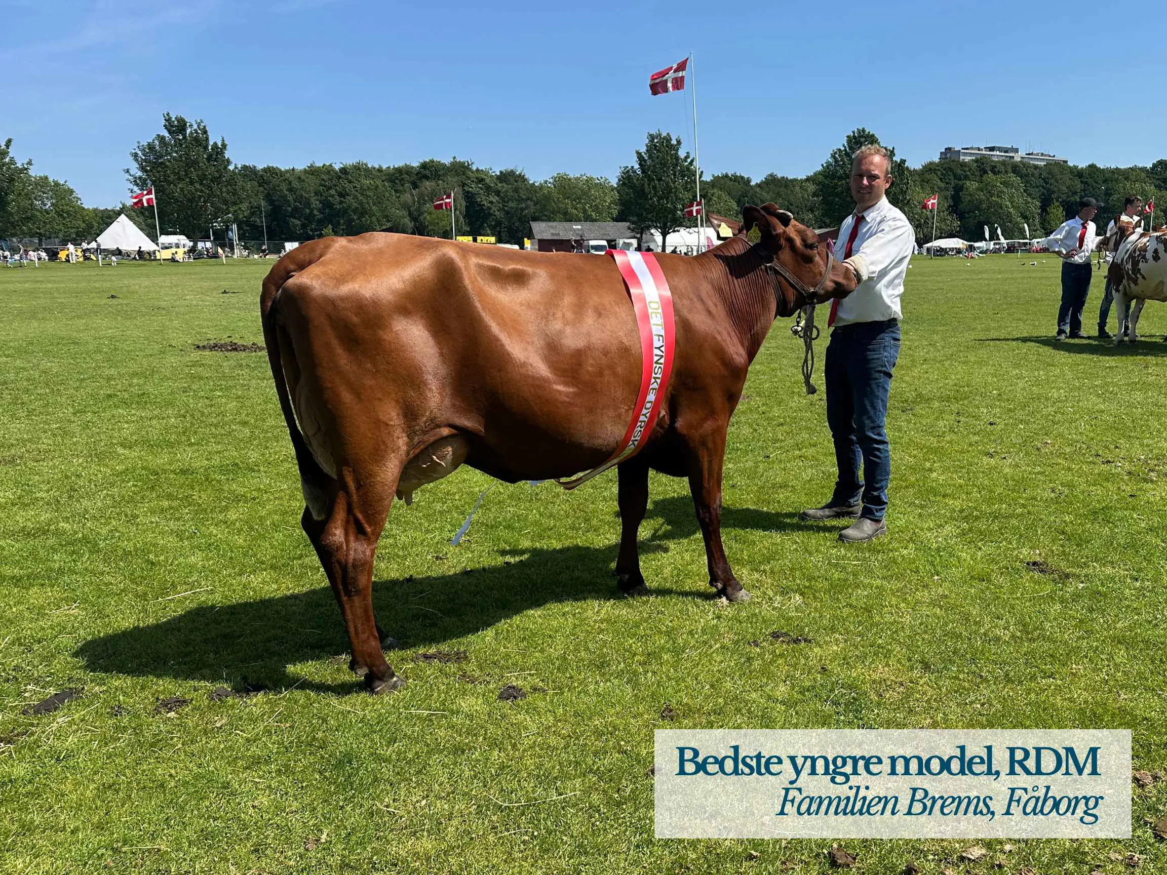 RDM Yngre Model, Familien Brems, Fåborg