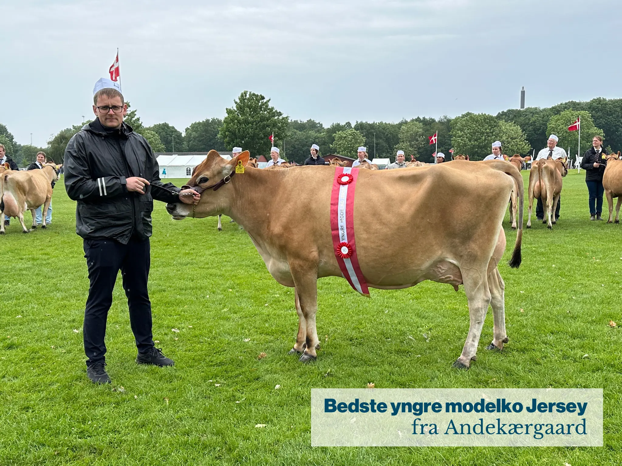 Bedste Yngre Modelko Jersey Fra Andekærgaard .JPG