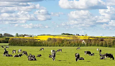 Sydgaarden1 V Ewald Kusk Kristensen 2 Srgb Web