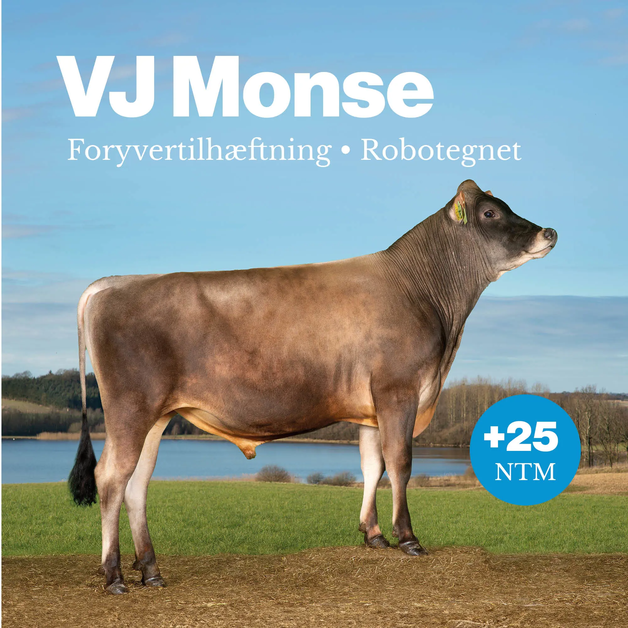VJ Monse