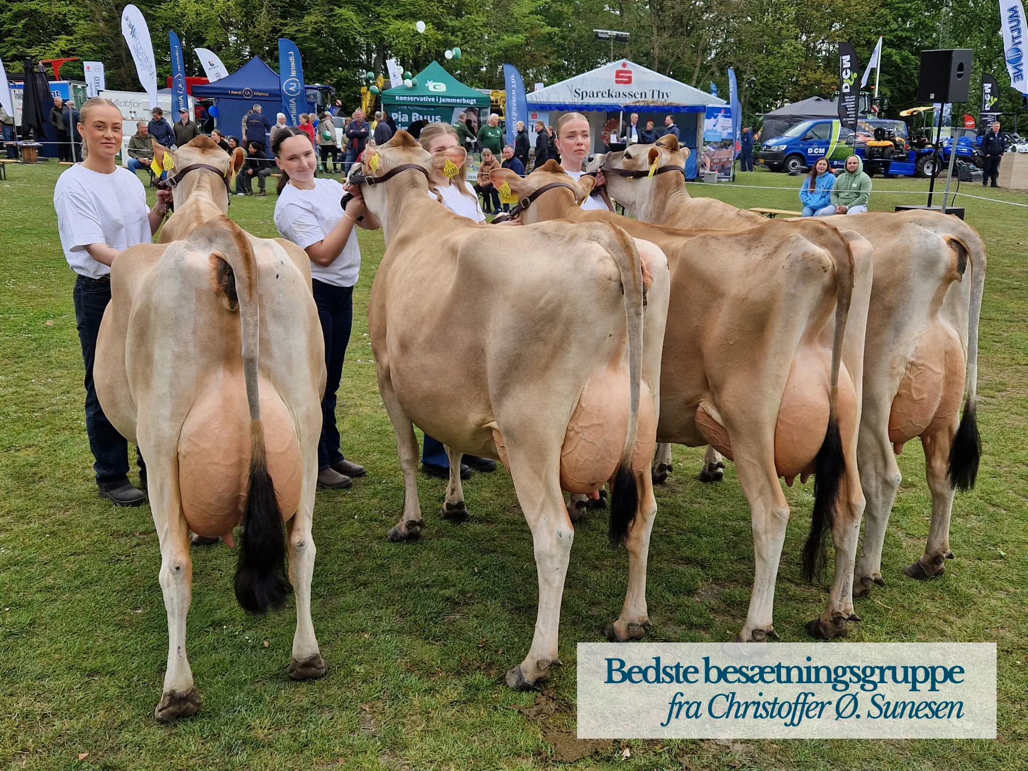 Bedste Besætningsgruppe