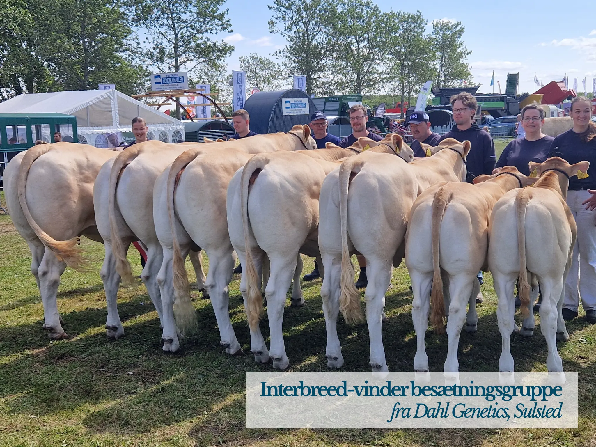 Interbreed Vinder Besætningsgruppe På Landskuet 2026