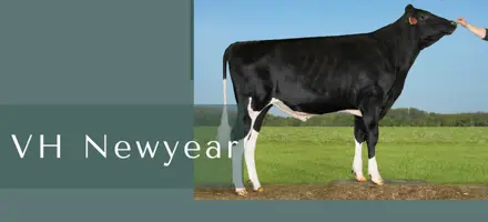 ARTICLE ENTRY TYR (16)