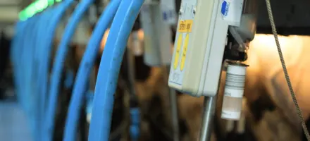 Entry Kan Mælkeprøven Blive Nøglen