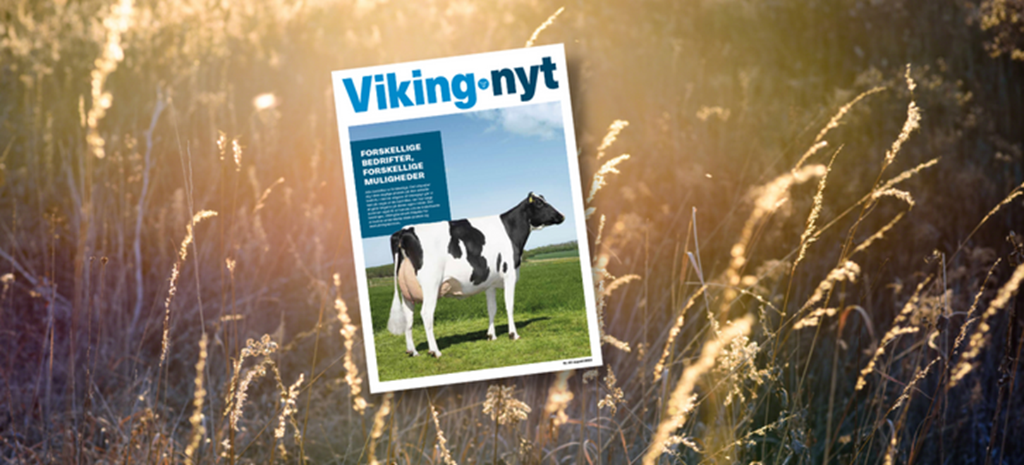 Vikingnyt August 2022