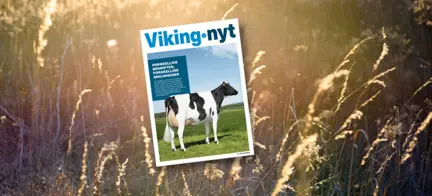 Vikingnyt August 2022