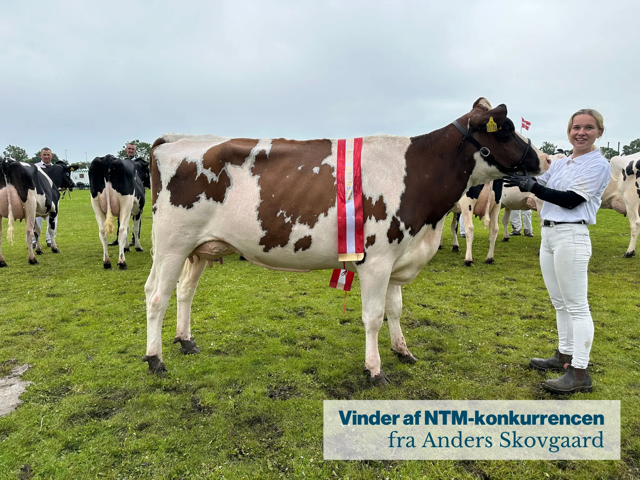 Vinder Af NTM Konukrrencen Fra Anders Skovgaard