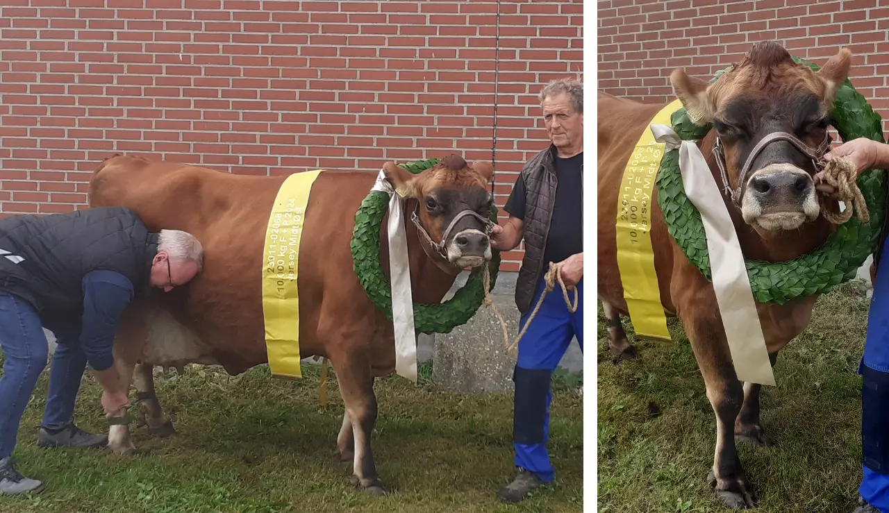 Herluf Rahr Med Ko 2068