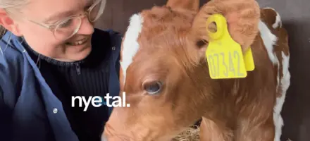 Sara Der Snakker Med En RDM Kalv