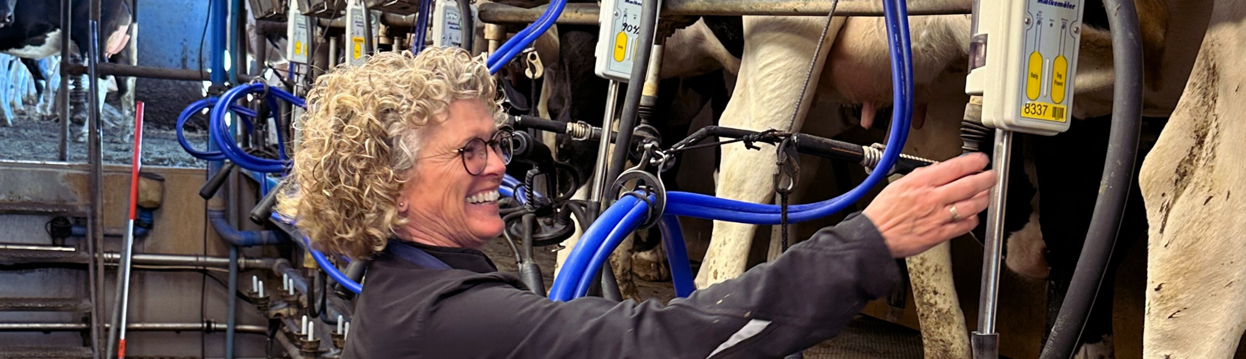 Banner Data Og Genetiske Tests